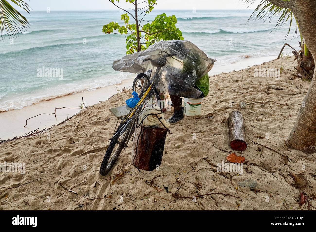 Barbados fisherman scuoiatura bike Hastings beach hotel Savannah pescatore nativo di lavorare sotto il catrame foglio di polarizzazione del ciclo di sabbia di pesce Foto Stock