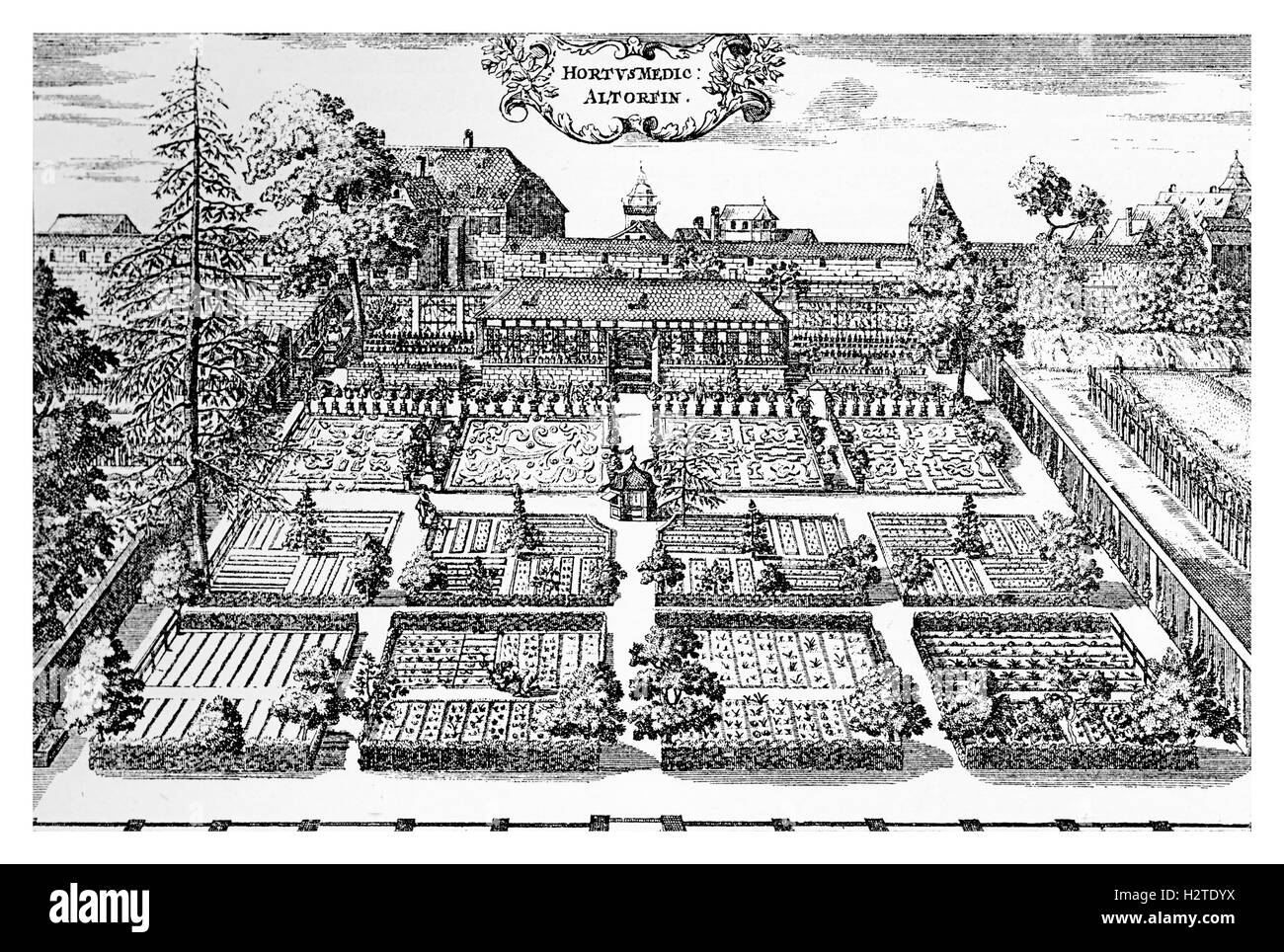 XVII secolo, medico giardino presso la facoltà di medicina dell'Università di Altdorf vicino a Nuremberg, Germania. Altdorf Università è stata fondata nel 1578 Foto Stock