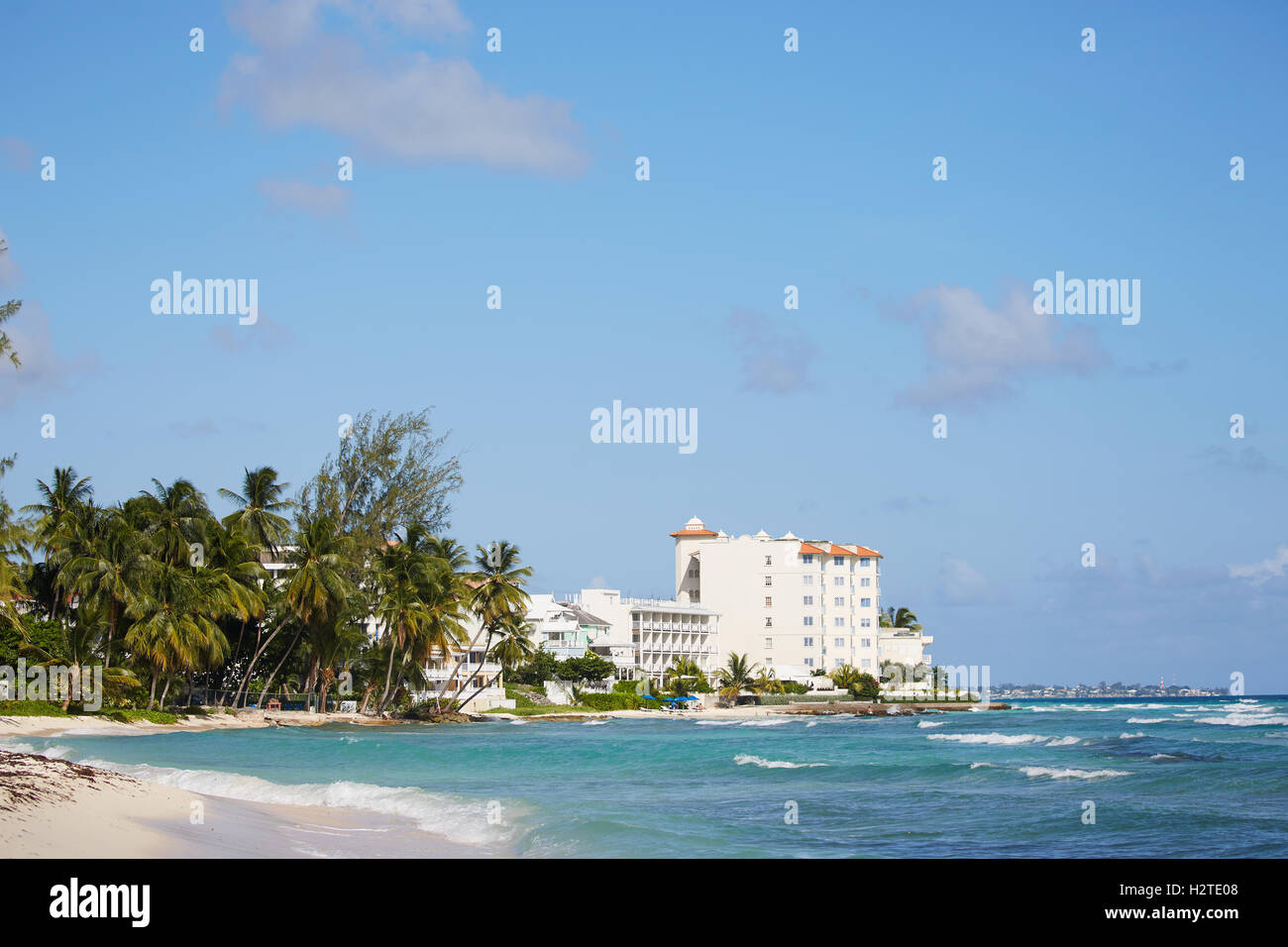 Barbados Hastings Bay hotel uomo a nuotare in spiaggia della baia di acqua di mare maschio nero copyspace palme nelle vicinanze del Carlisle Bay sunny b Foto Stock