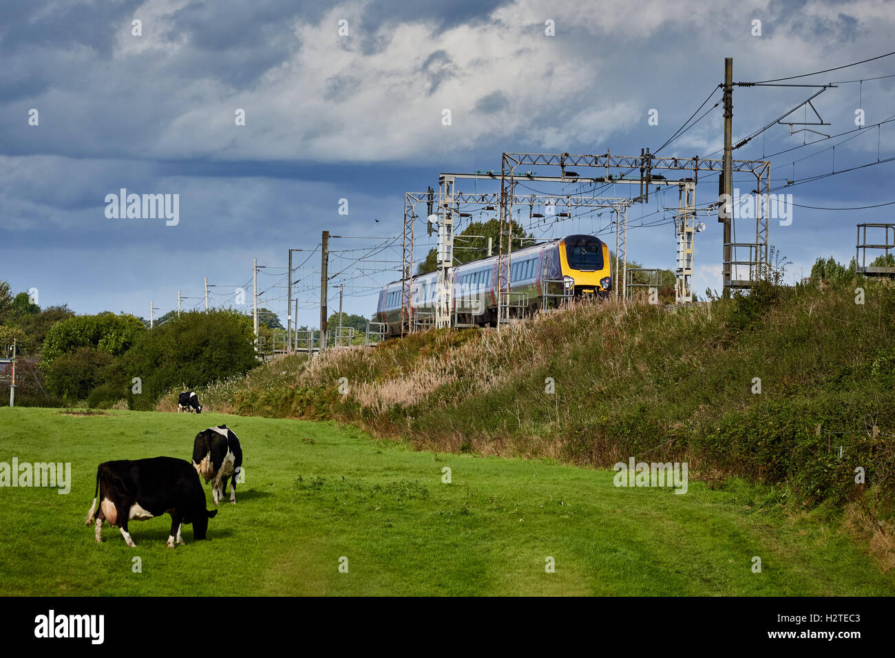 Treno cross-country voyager service Adlington Manchester a Macclesfield line Trasporti transporter trasporto trasportato Foto Stock