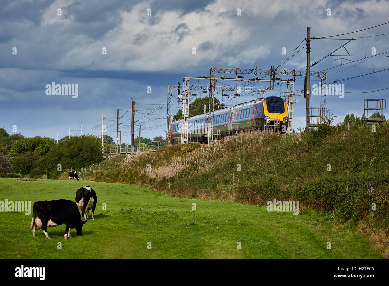 Treno cross-country voyager service Adlington Manchester a Macclesfield line Trasporti transporter trasporto trasportato Foto Stock