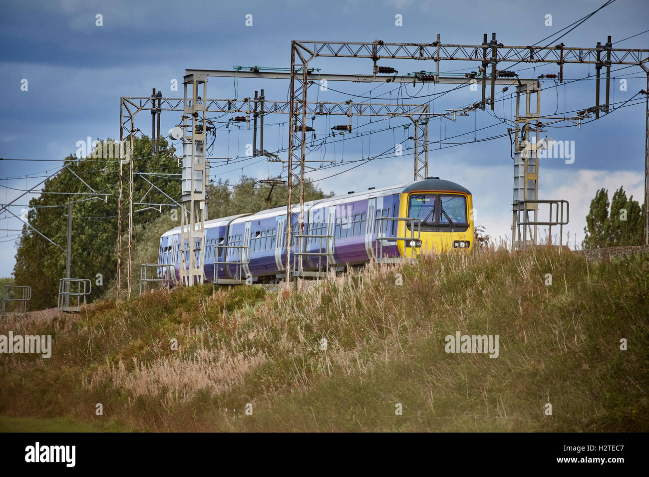Treno del nord unità servizio ferroviario Adlington Manchester a Macclesfield line Trasporti transporter trasporto trasportato Foto Stock