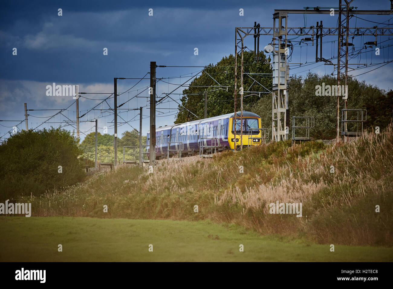 Treno del nord unità servizio ferroviario Adlington Manchester a Macclesfield line Trasporti transporter trasporto trasportato Foto Stock