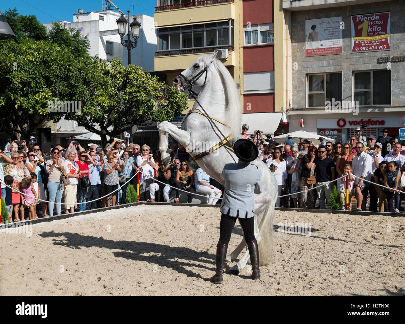 Fuengirola un caballo. Malaga, Spagna Foto Stock
