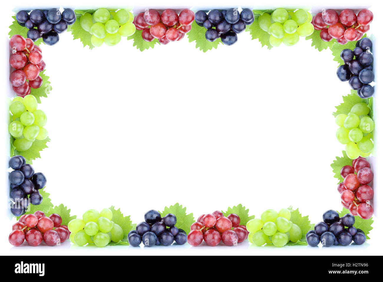 Uve rosso verde blu frutta organica frutta fresca autumn fall isolato su uno sfondo bianco copyspace telaio spazio copia Foto Stock