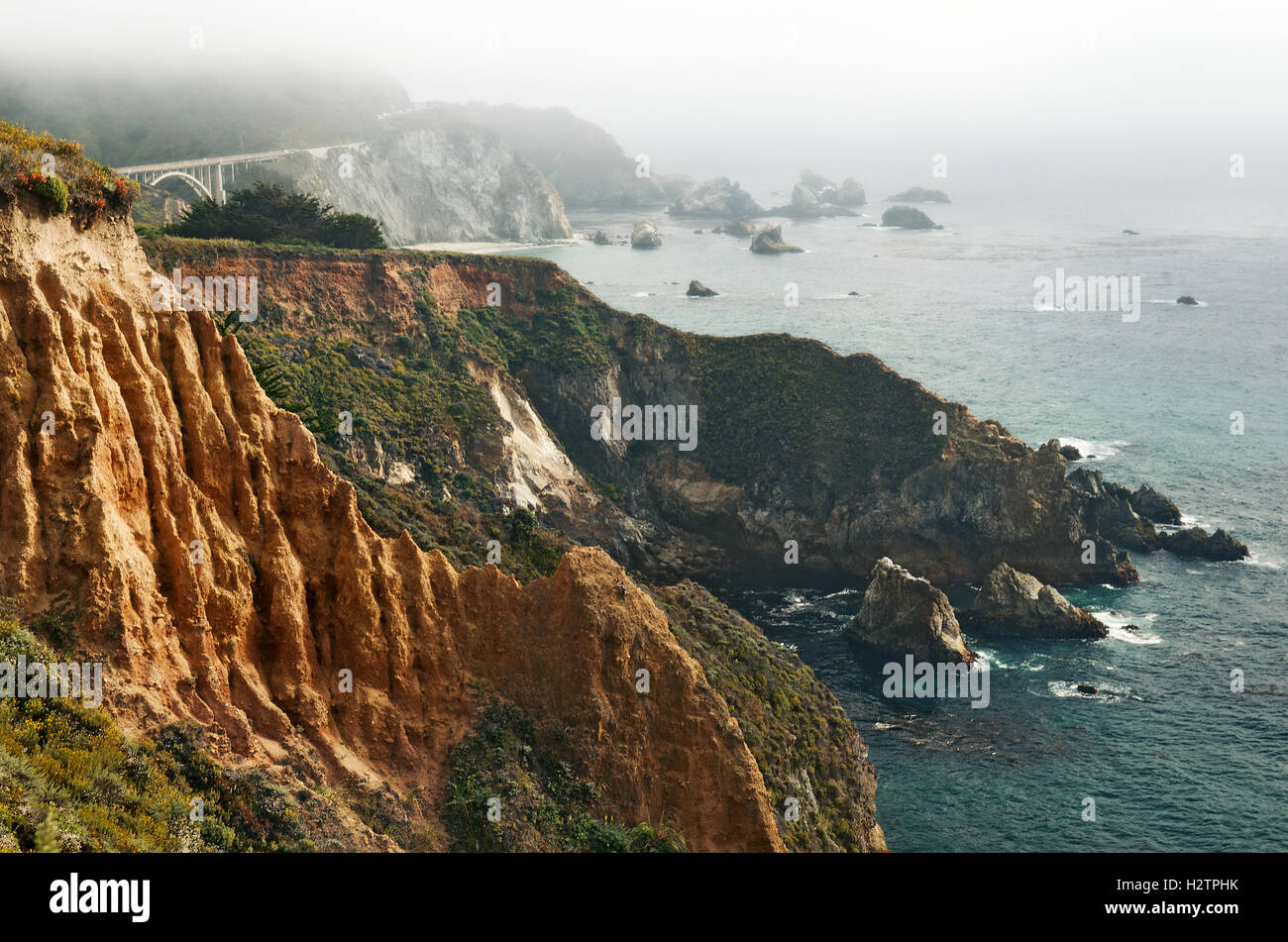 Pacific autostrada costiera, vicino Monterey, California, Stati Uniti d'America Foto Stock