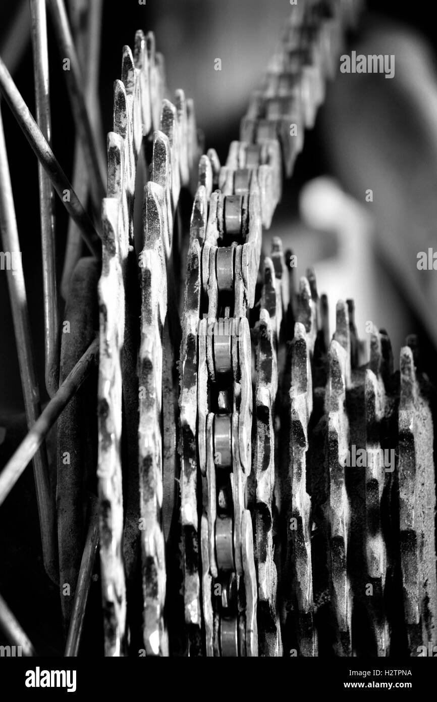 Bike maglie di catena e ruote dentate in mountain bike mtb e divertente esercizio Foto Stock