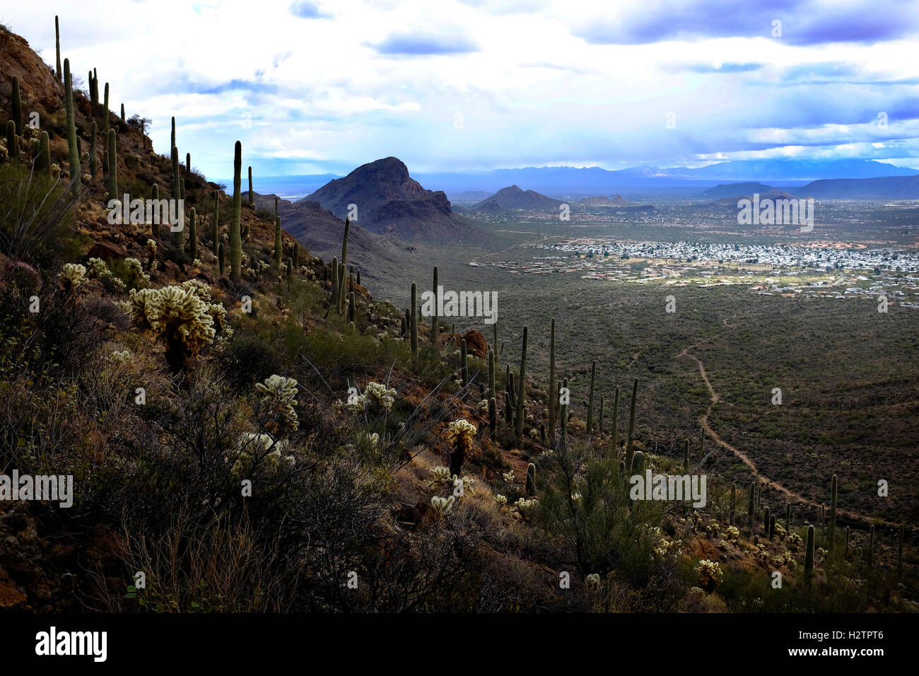 Cactus Saguaro valley mountains nuvole e cielo Foto Stock