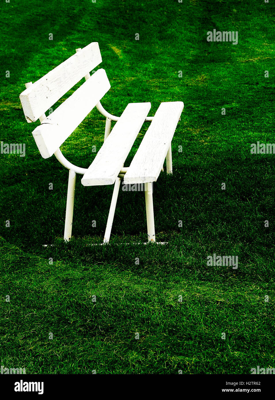 Righe di bianco panchine per seduta su erba verde Foto Stock