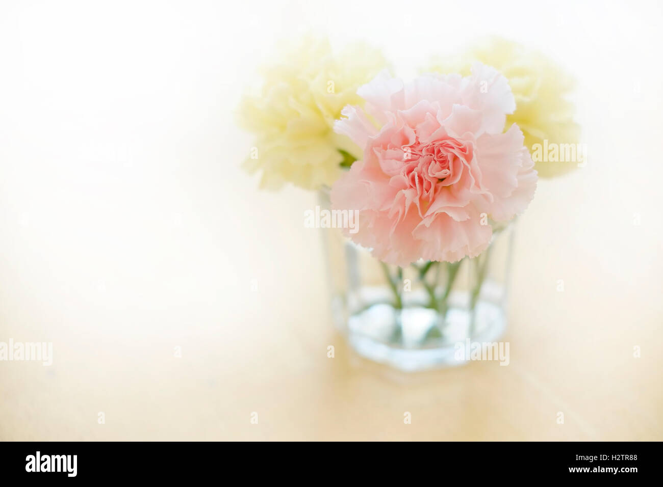 Primo piano freschi di fiori di primavera garofani in coppa sul vecchio tavolo in legno decorazione superiore Foto Stock