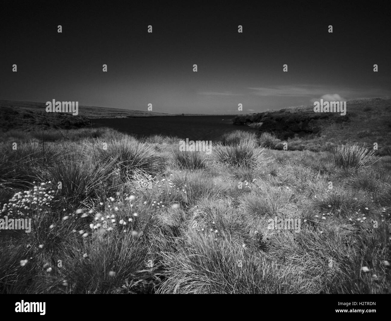Masticare il serbatoio da masticare Clough, Greenfield in Saddleworth. Foto Stock