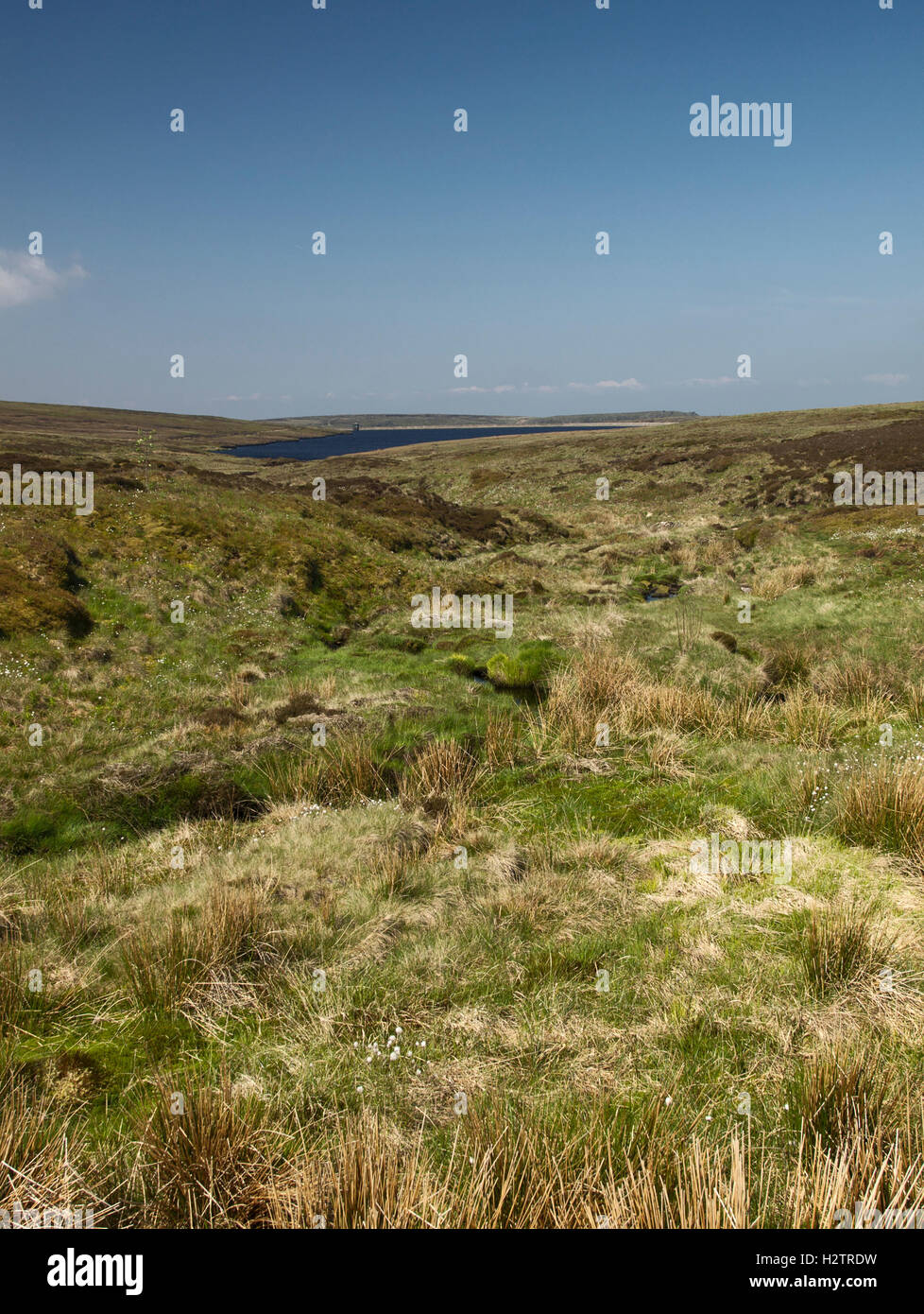 Masticare il serbatoio da masticare Clough, Greenfield in Saddleworth. Foto Stock