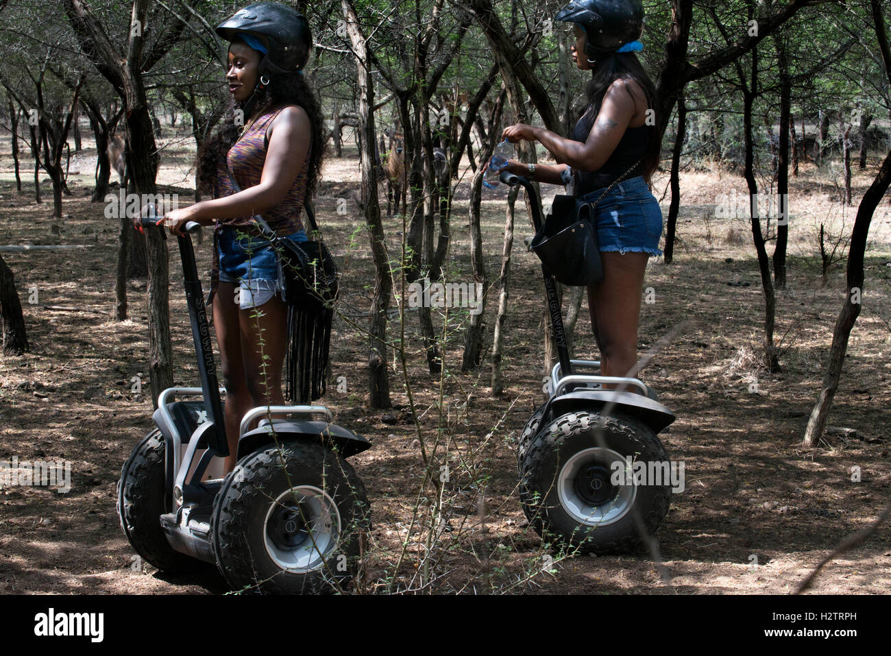 Segway ride in Casela, popolare wildlife bird e parco animale. Isola di Mauritius. Foto Stock