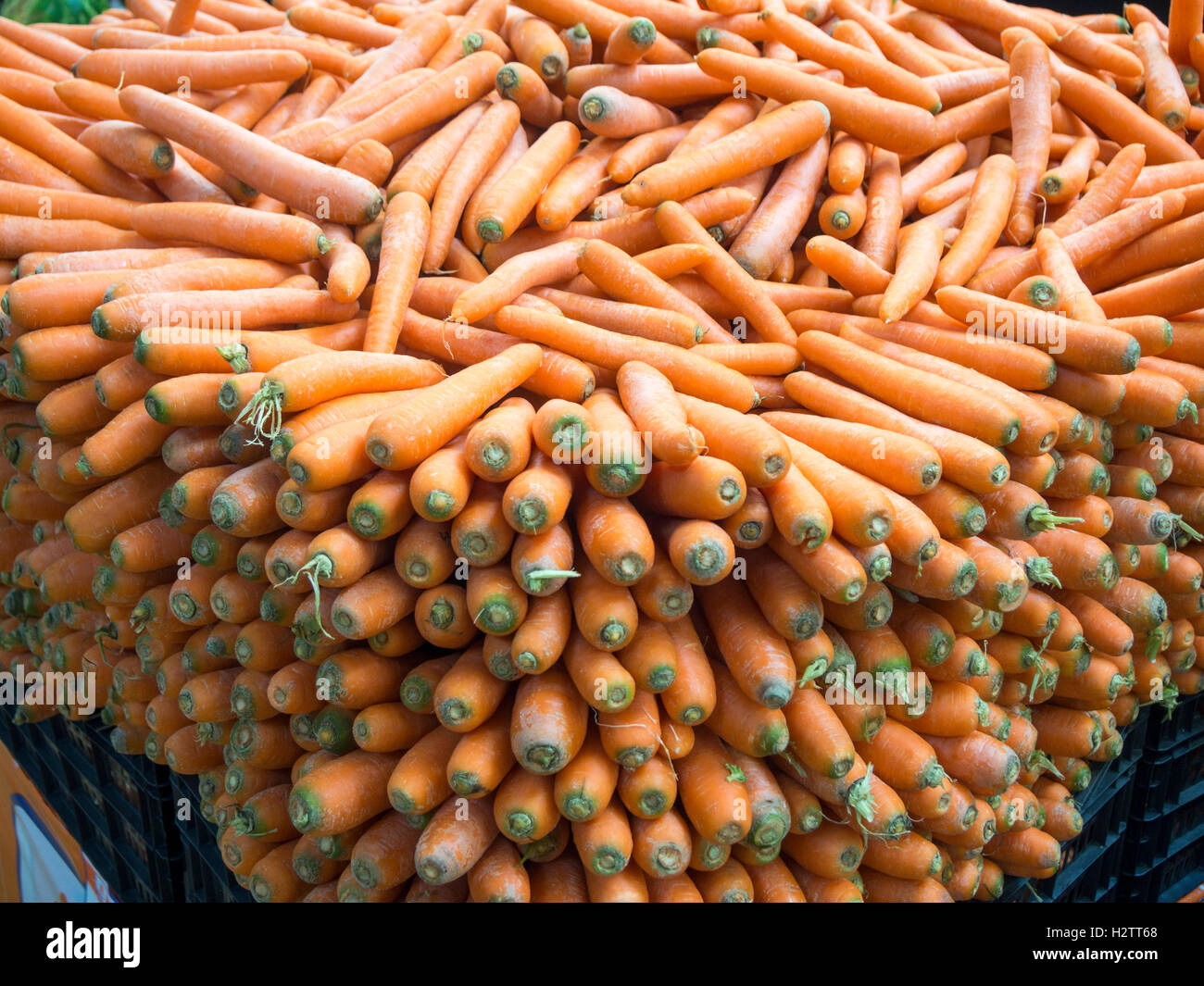 Un sacco di carote sul display. Display massiccia di appena raccolto le carote in Tulum fruttivendolo. Foto Stock
