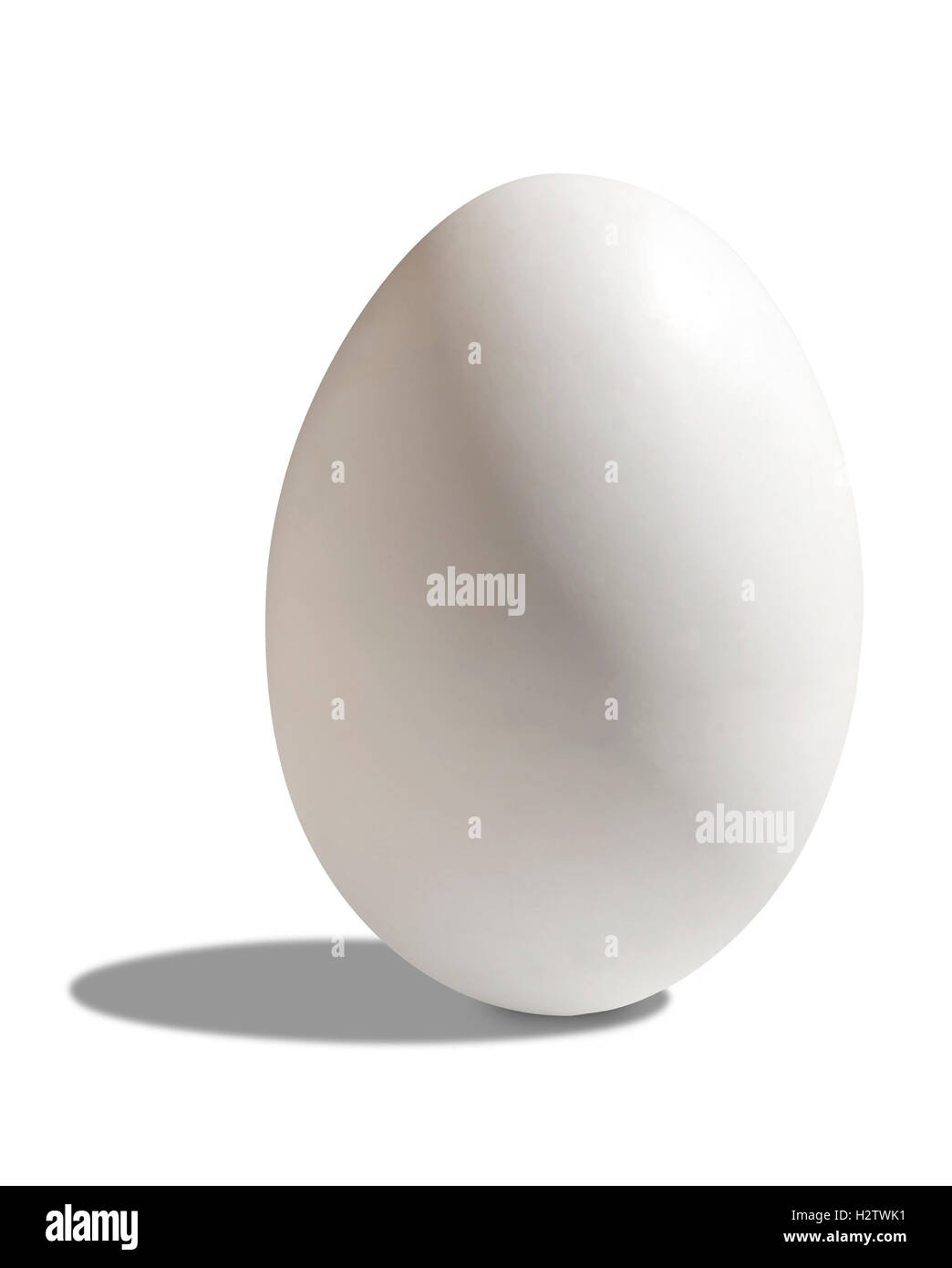 Uovo bianco su sfondo bianco Foto Stock