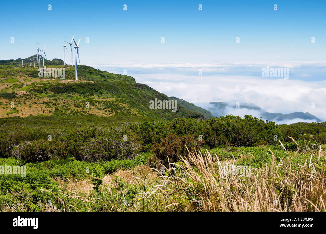 Madeira: mulini a vento sulla Paul da Serra altopiano, visto da Bica da Cana hill Foto Stock