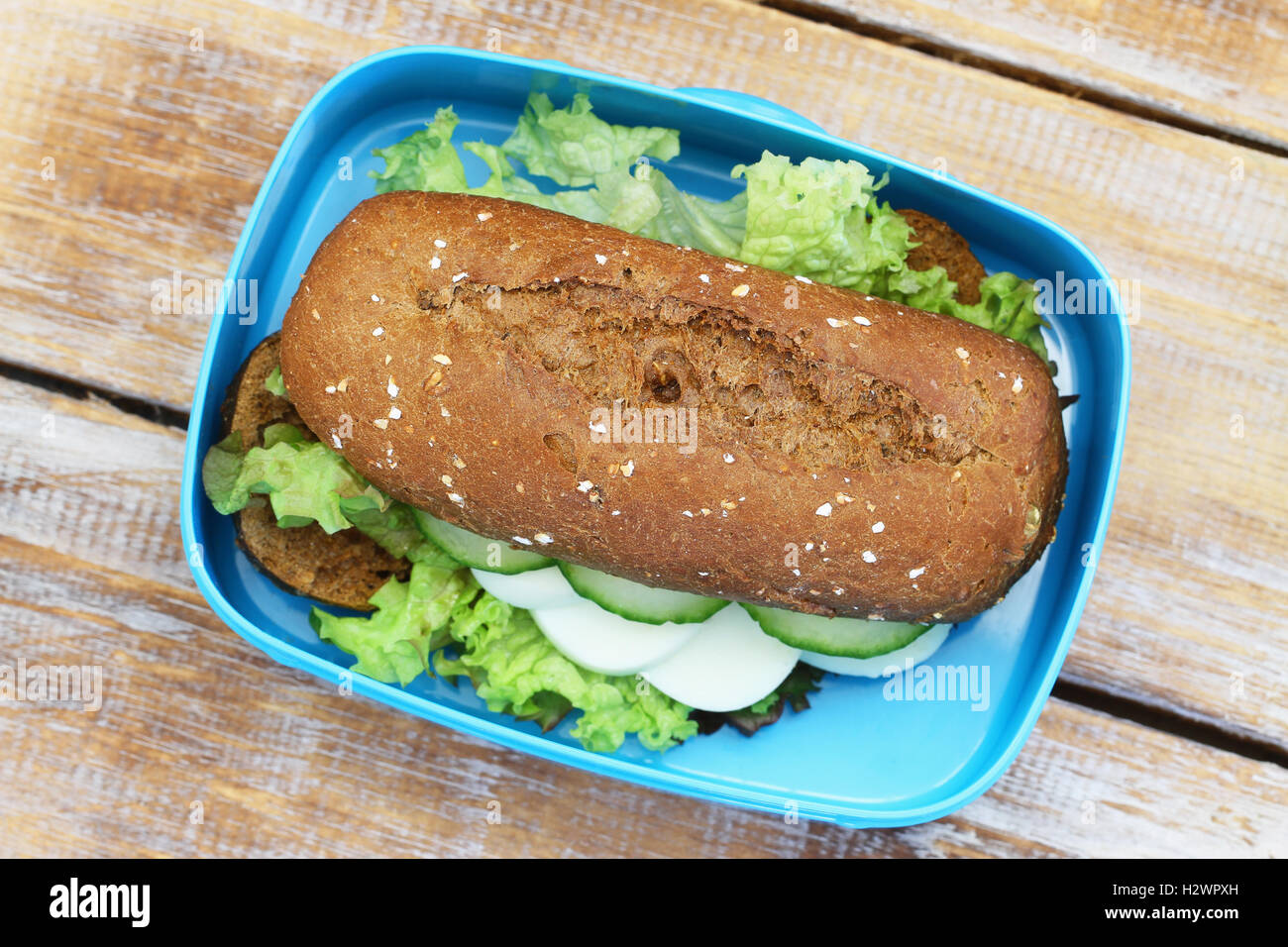 Pranzo sano scatola contenente grano intero rotolo di pane con uovo sodo, la lattuga e il cetriolo, primo piano Foto Stock