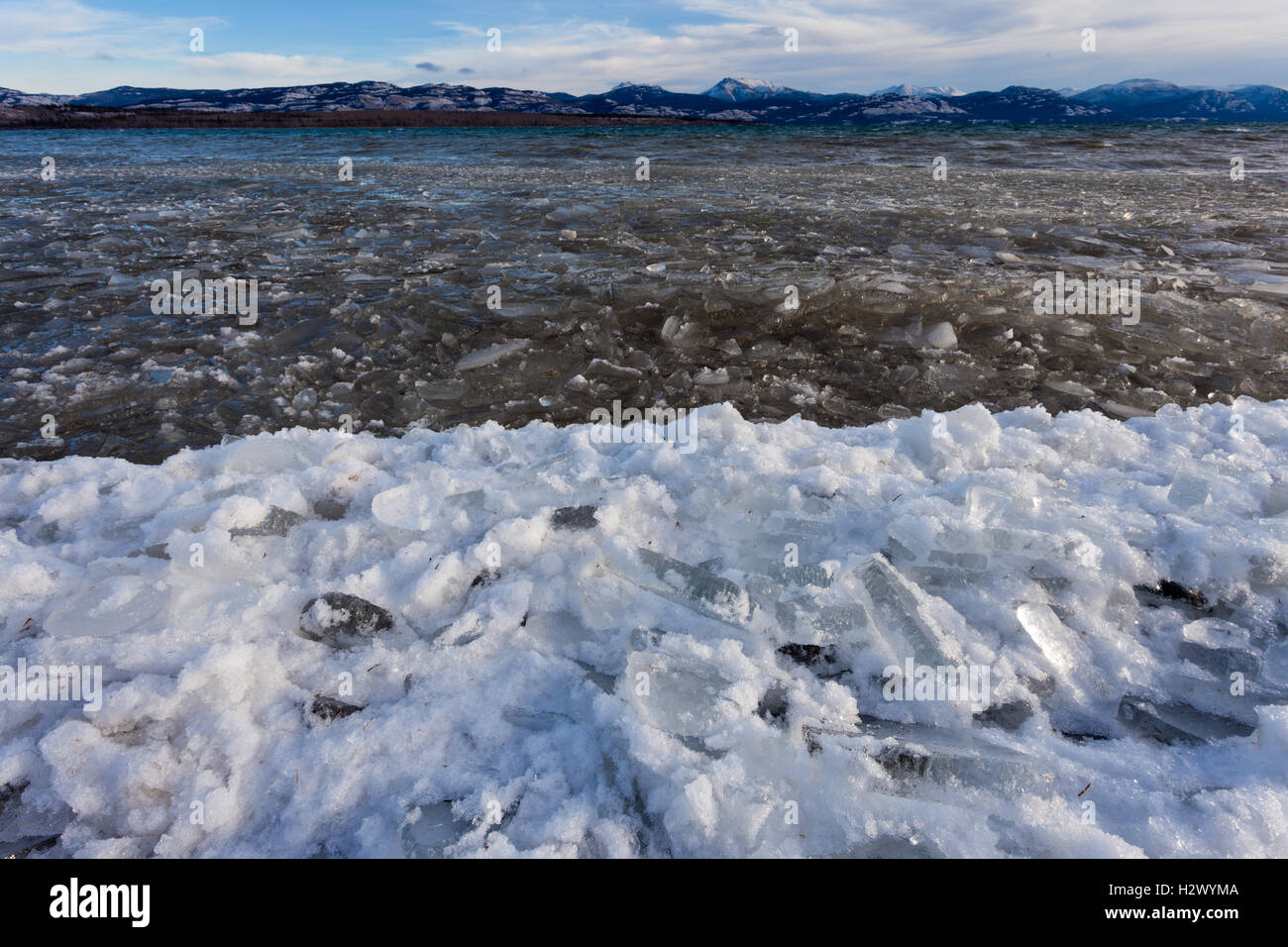 Shore ice Lage Laberge congelamento Yukon Canada Foto Stock