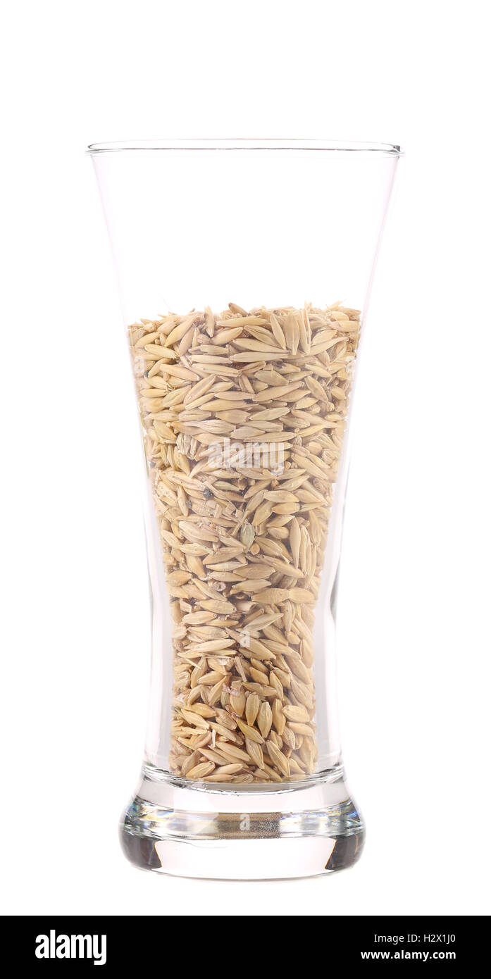 Chiusura del vetro con orzo. Foto Stock