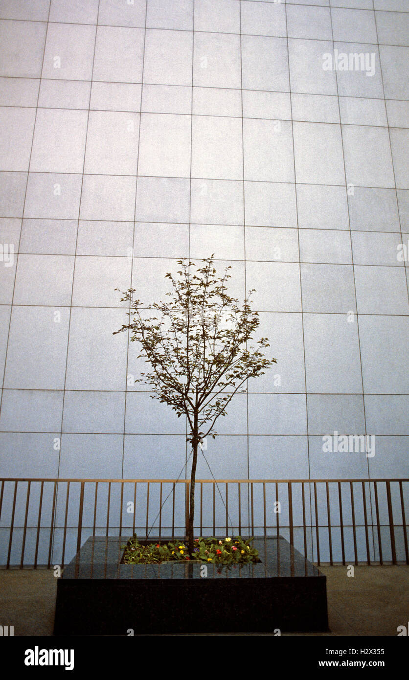 Scena di strada lato dell'edificio con albero in vaso in marmo a Seattle nello Stato di Washington STATI UNITI D'AMERICA Foto Stock
