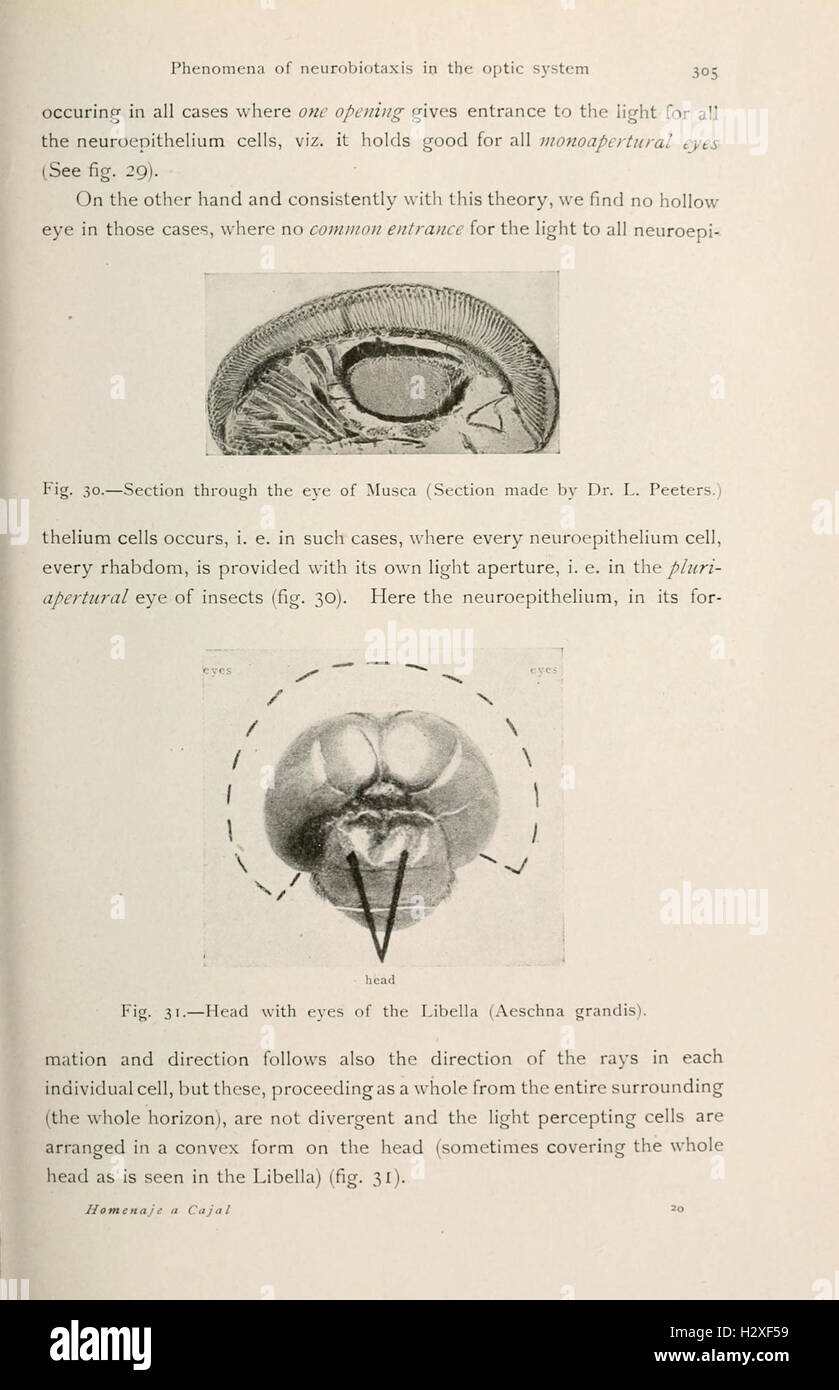 Un libro tributo dedicato a D. S. Ramón y Cajal, che discute i suoi contributi alla scienza, in particolare nei campi della neurologia e dell'istologia. Foto Stock