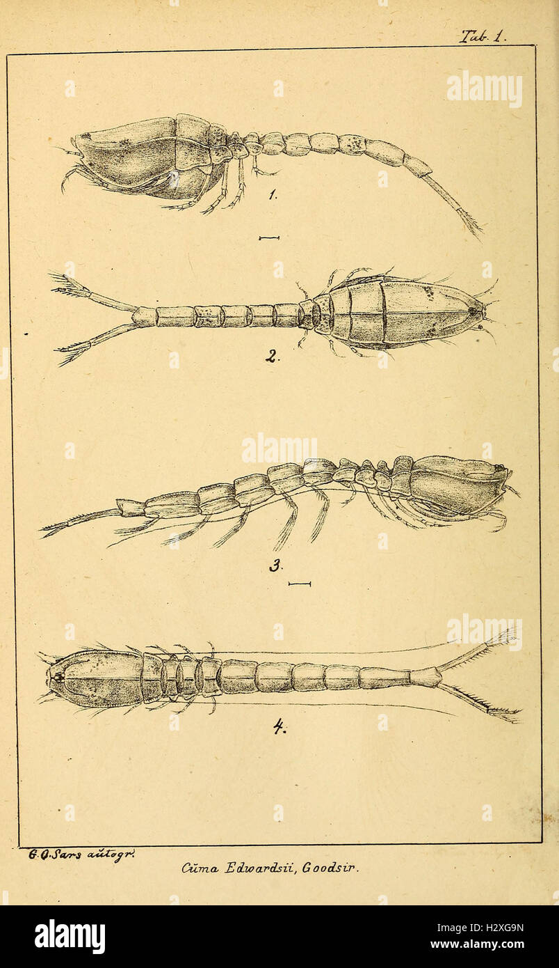 Archiv per mathematik og naturvidenskab BHL298 Foto Stock