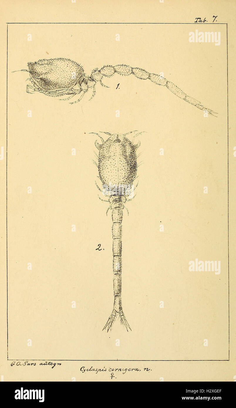 Archiv per mathematik og naturvidenskab BHL298 Foto Stock