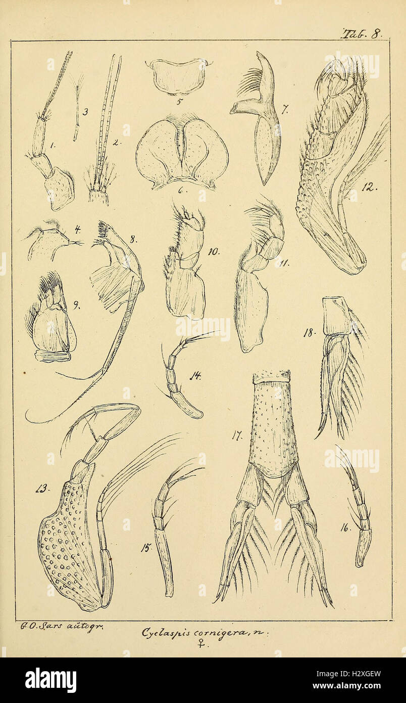 Archiv per mathematik og naturvidenskab BHL298 Foto Stock