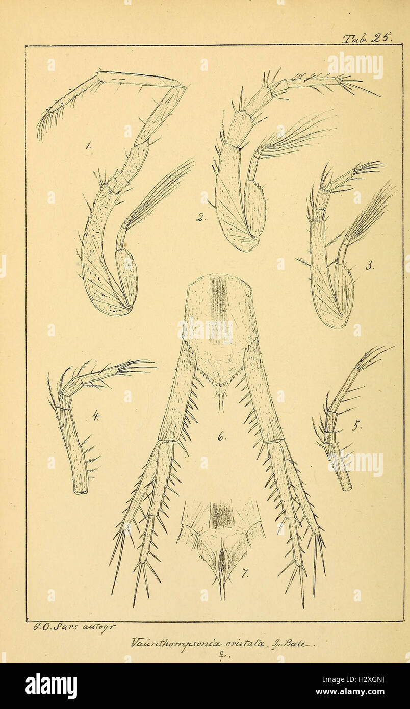 Archiv per mathematik og naturvidenskab BHL298 Foto Stock