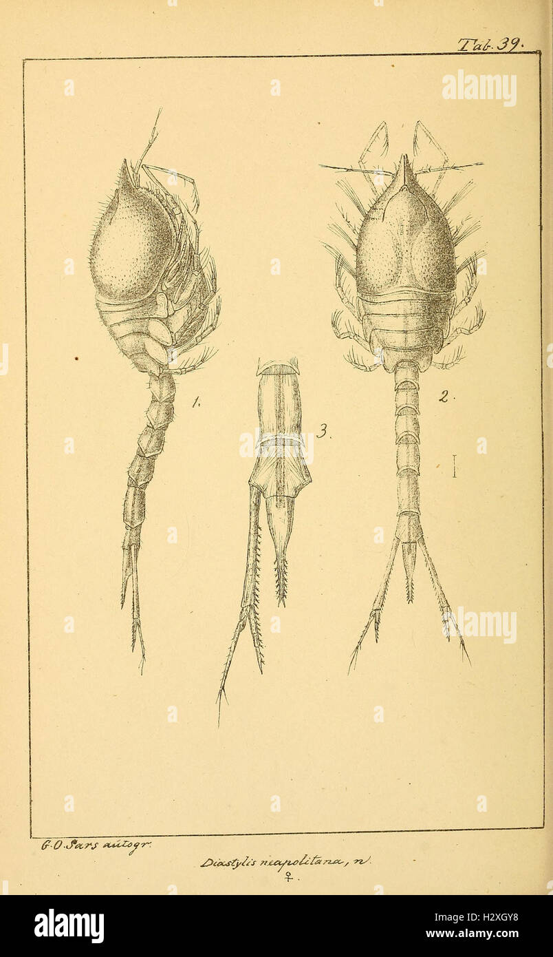 Archiv per mathematik og naturvidenskab BHL298 Foto Stock