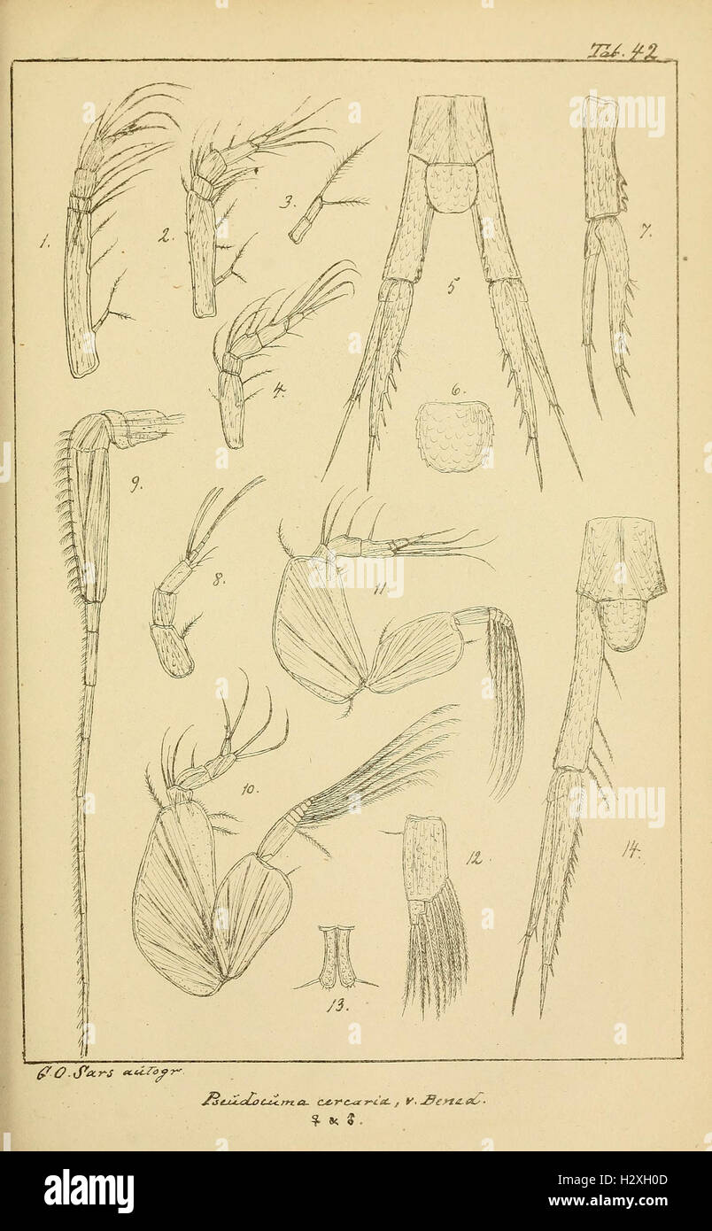 Archiv per mathematik og naturvidenskab BHL298 Foto Stock