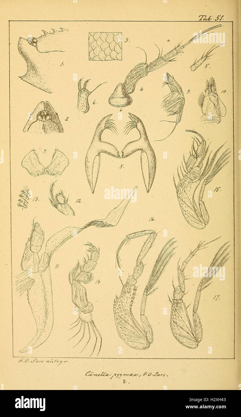 Archiv per mathematik og naturvidenskab BHL298 Foto Stock