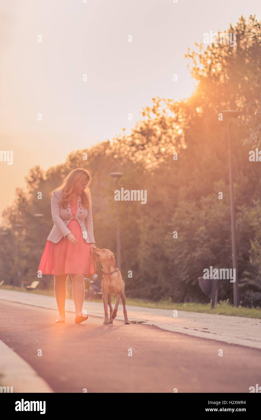 Giovane donna adulta cane a piedi all'aperto giorno di sole giallo arancio sky Foto Stock