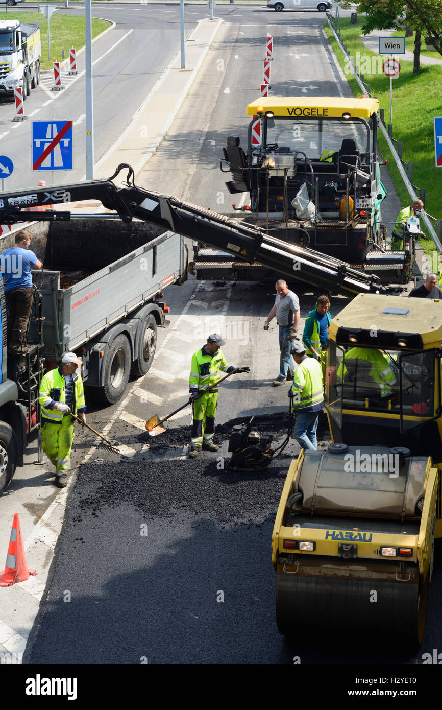 Wien, Vienna: costruzione di strada con i lavoratori , asfalto , Camion e roll, 22., Wien, Austria Foto Stock