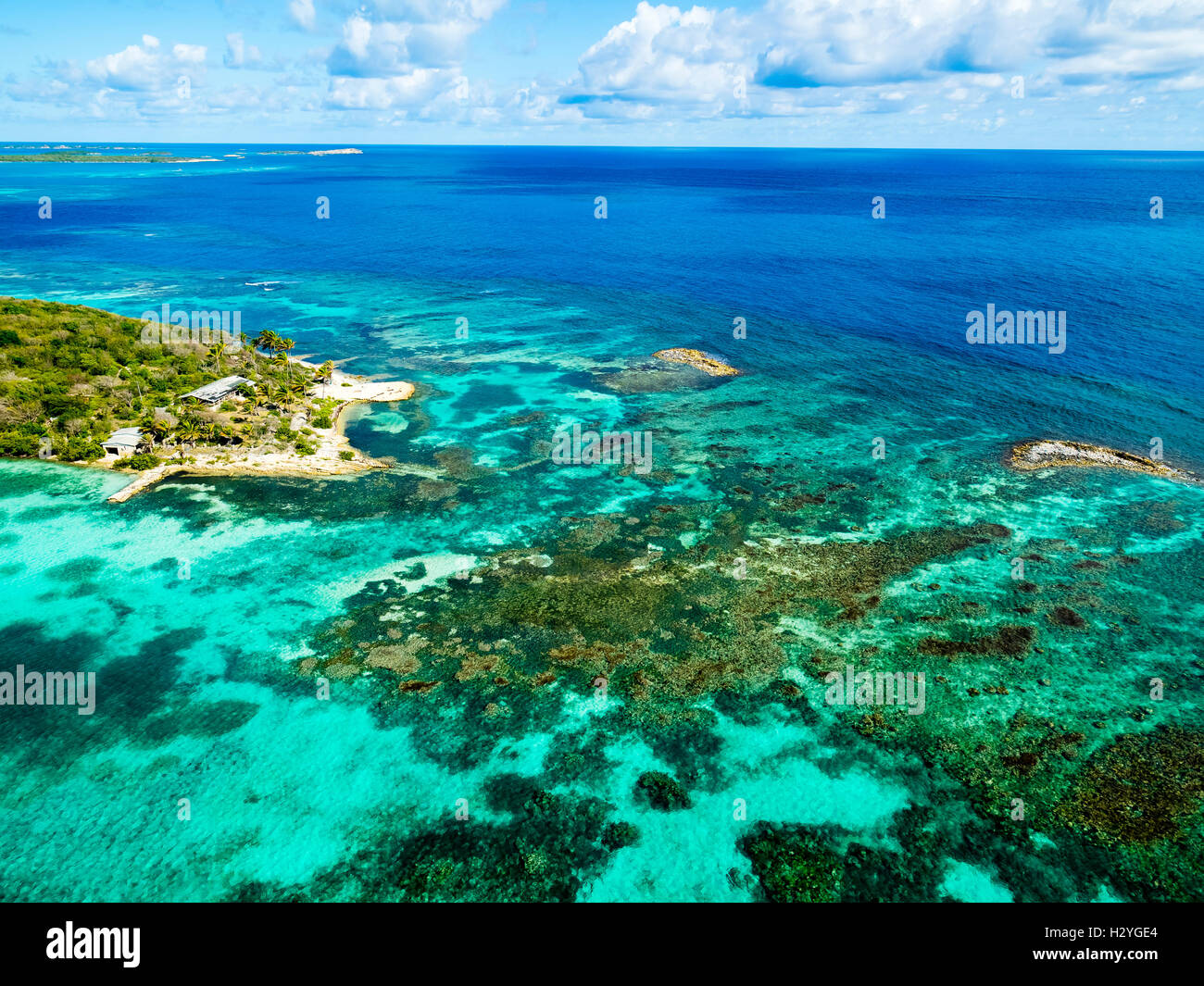 Coral reef fuori la Grande Isola degli uccelli, Antigua, West Indies Caraibi Antigua e Barbuda Foto Stock