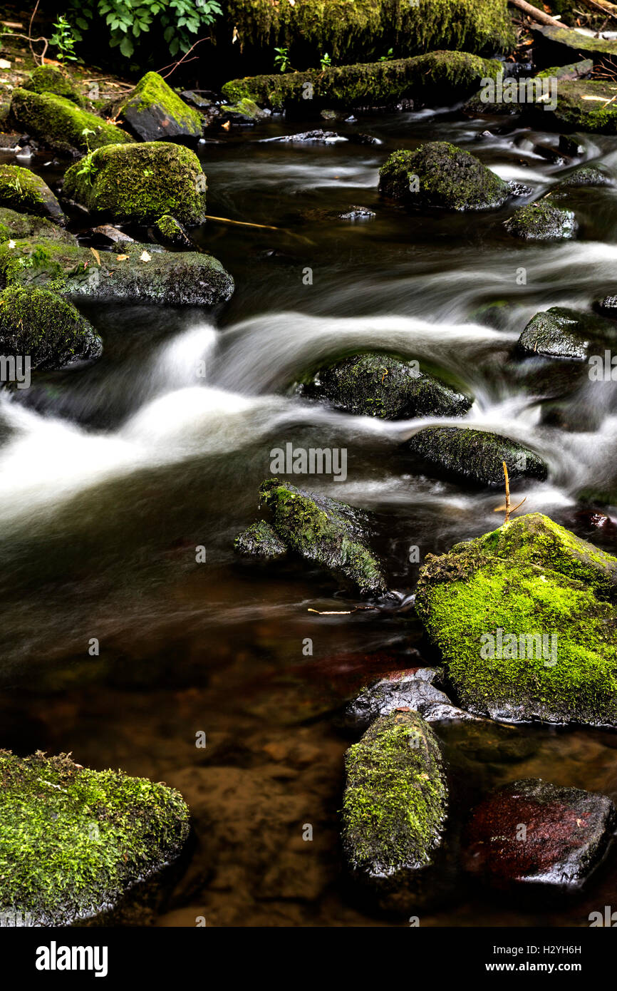 Otturatore lento dell'acqua fluente attraverso Capelrig masterizzare, Rouken Glen .GLASGOW, SCOZIA Foto Stock