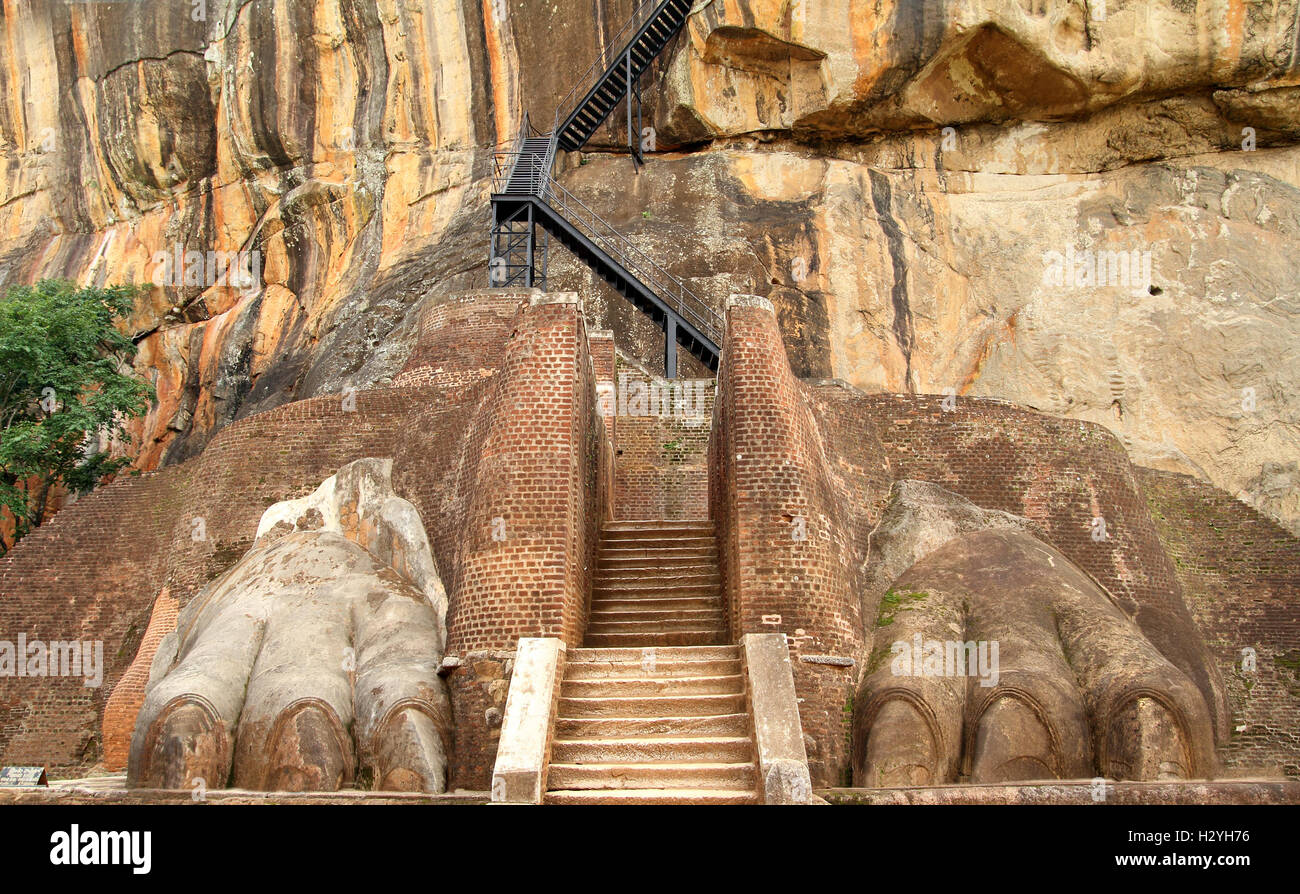 Sigiriya lion zampe Foto Stock