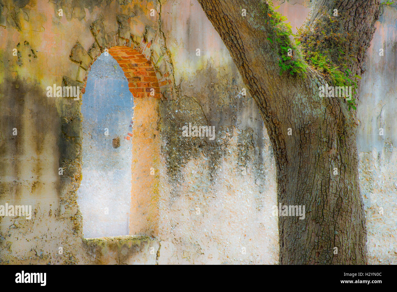 Finestra della vecchia cappella di St di facilità, un tabby-chiesa fortificata, St Helena Island, Carolina del Sud e Stati Uniti d'America Foto Stock