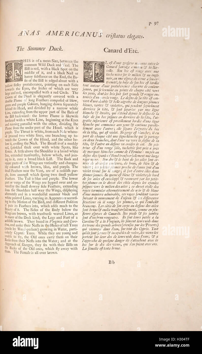 La storia naturale della Carolina, Florida e il Bahama Isole (p. 97) BHL421 Foto Stock