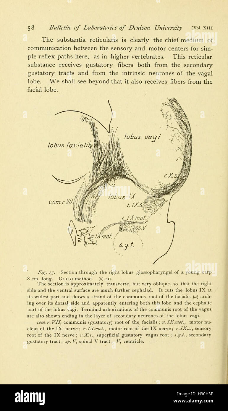 Bollettino dei laboratori scientifici di Denison University (pagina 58) BHL72 Foto Stock