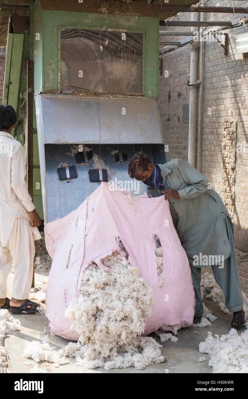 Uomini al lavoro in cotonificio Multan Pakistan Foto Stock