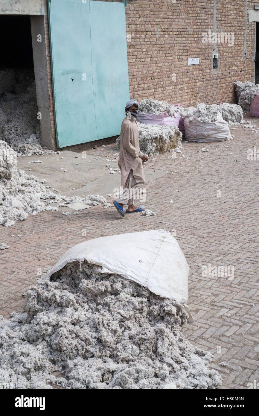 Cotonificio lavoratore Multan Pakistan Foto Stock