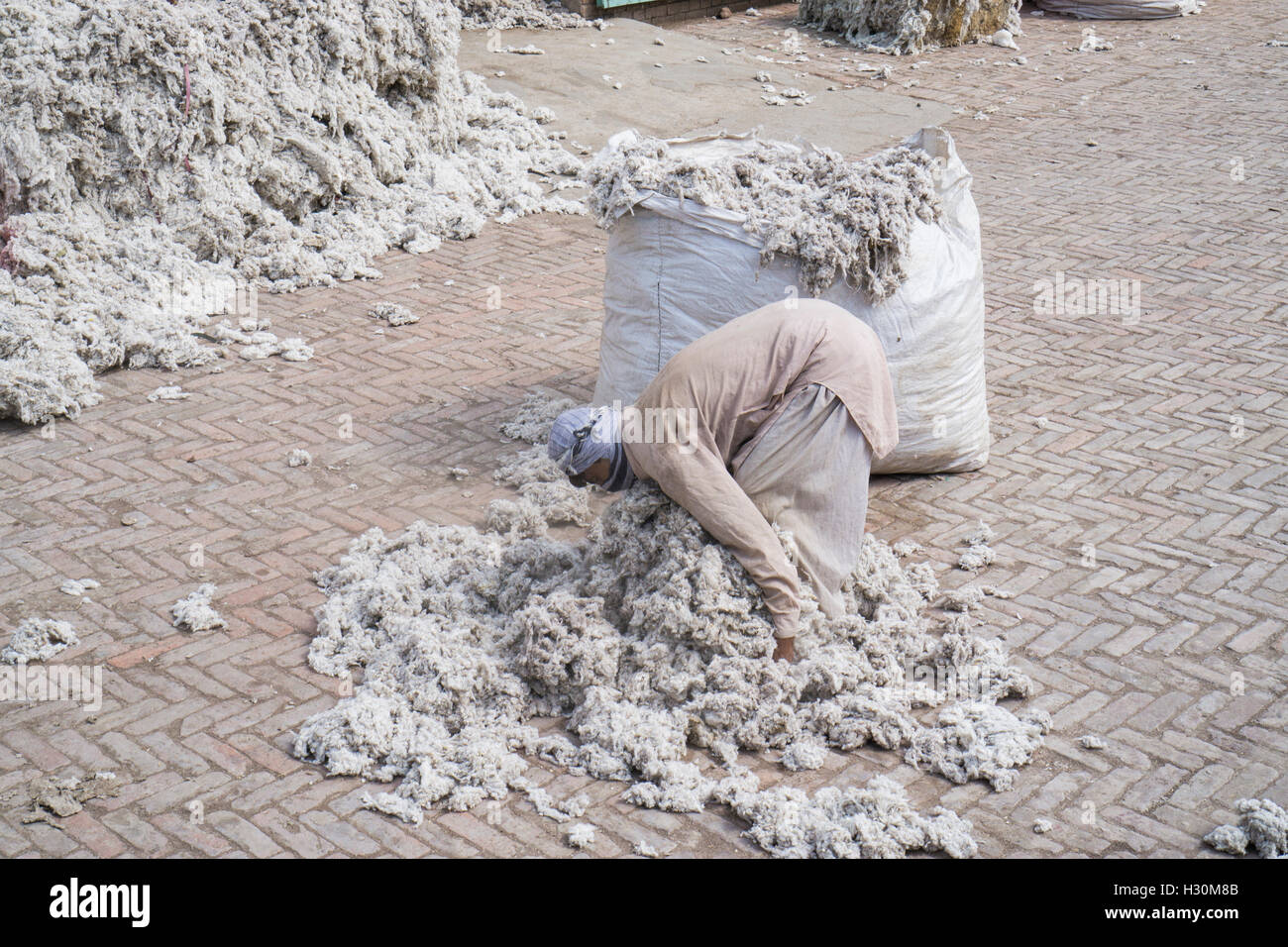 Cotonificio lavoratore Multan Pakistan Foto Stock