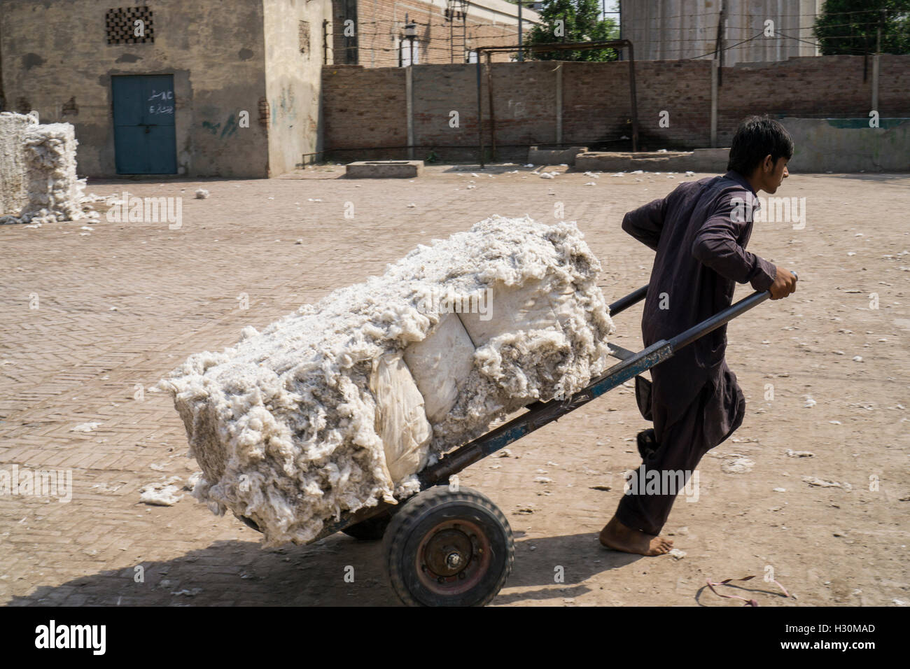Giovani Pakistani mulino di cotone lavoratore tirando il cotone carrello al di fuori del cotonificio Multan Pakistan Foto Stock