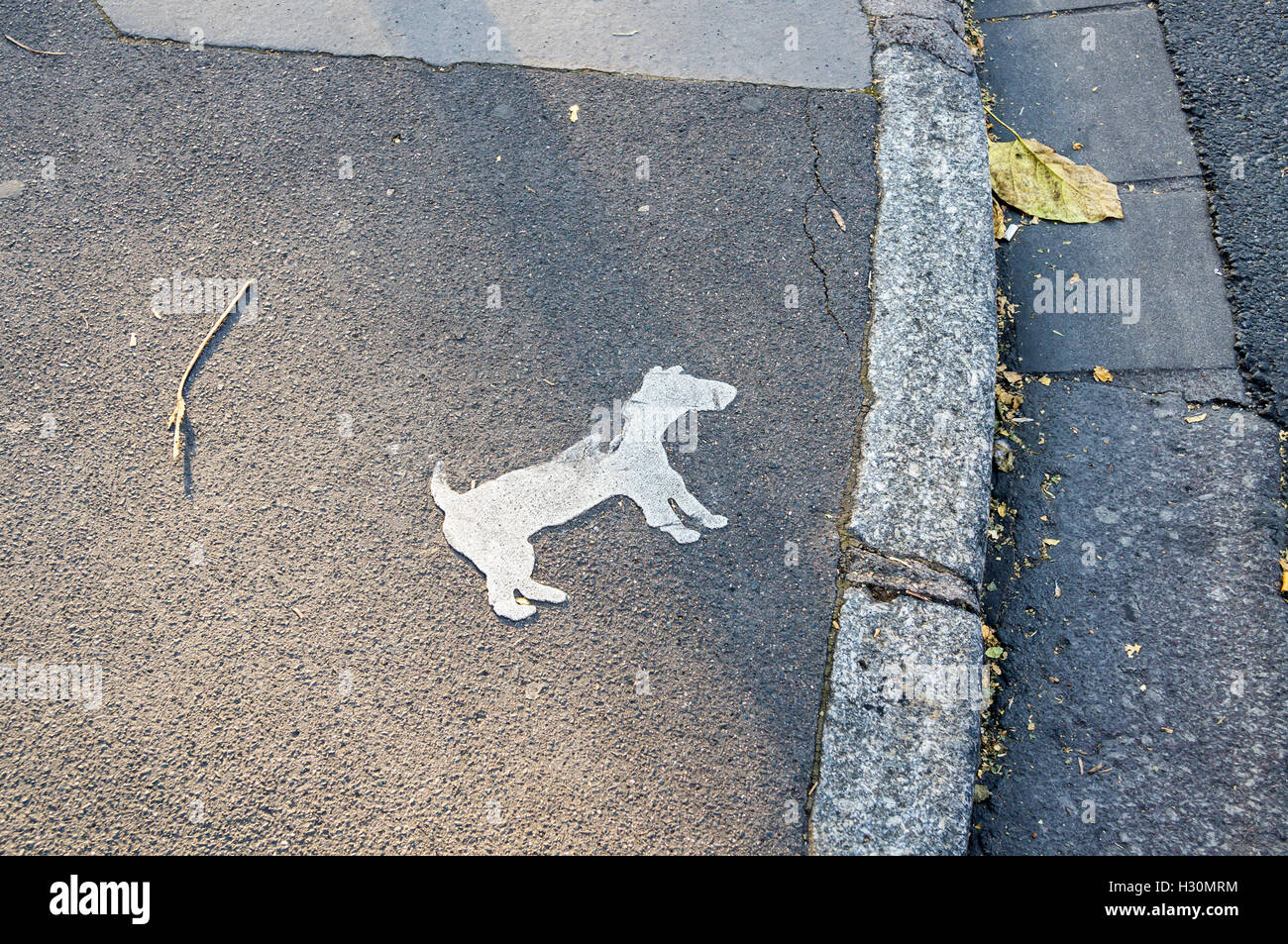 Una silhouette di un cane dipinto sul marciapiede, Avenue Foch, Nancy, Meurthe-et-Moselle, Grand Est, Francia Foto Stock