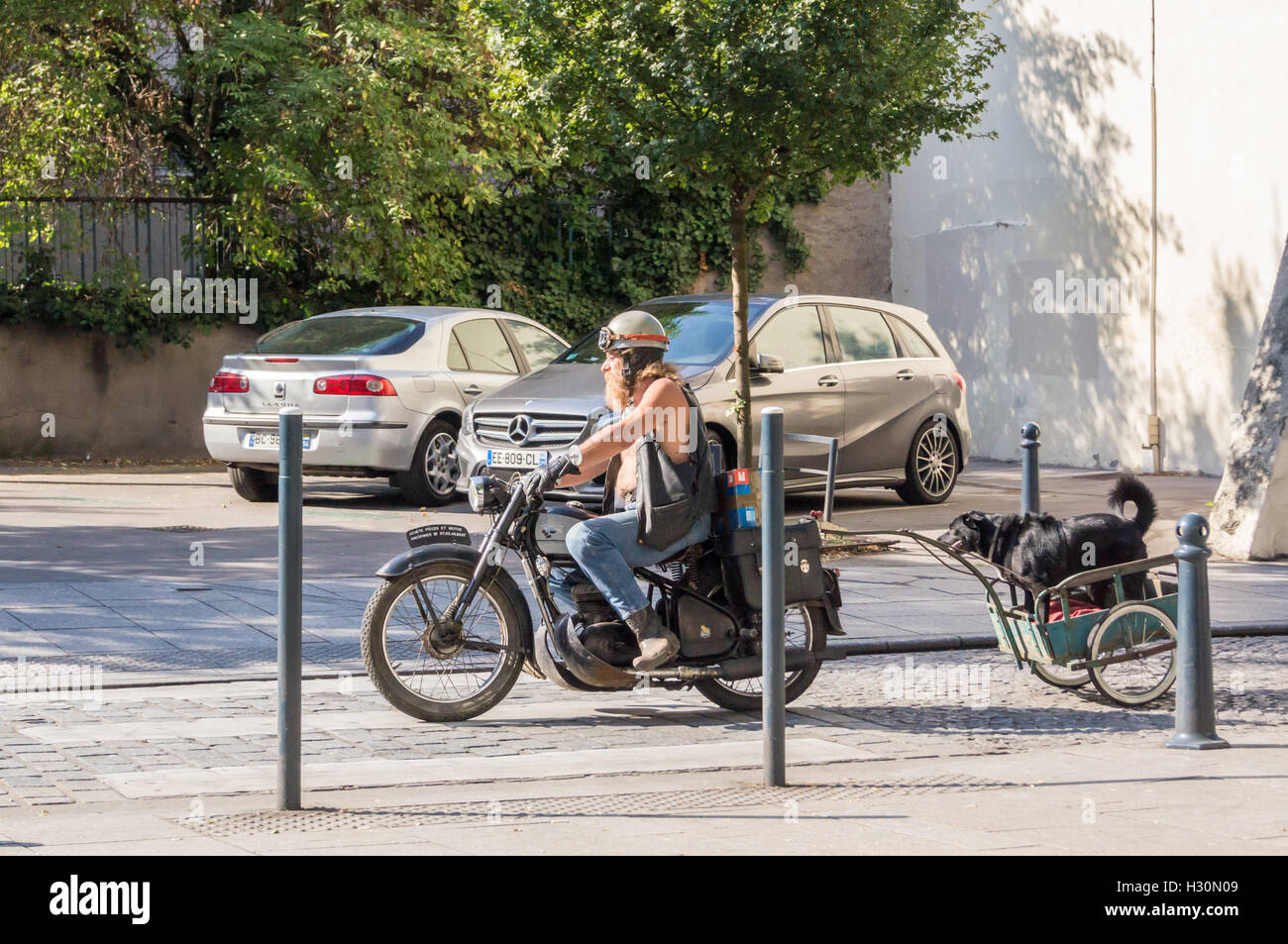 Un uomo su una moto di traino di un cane in un rimorchio, Nancy, Meurthe-et-Moselle, (Grand Est), Francia Foto Stock