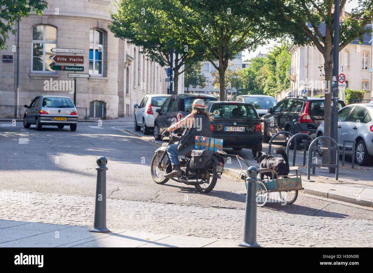 Un uomo su una moto di traino di un cane in un rimorchio, Nancy, Meurthe-et-Moselle, (Grand Est), Francia Foto Stock