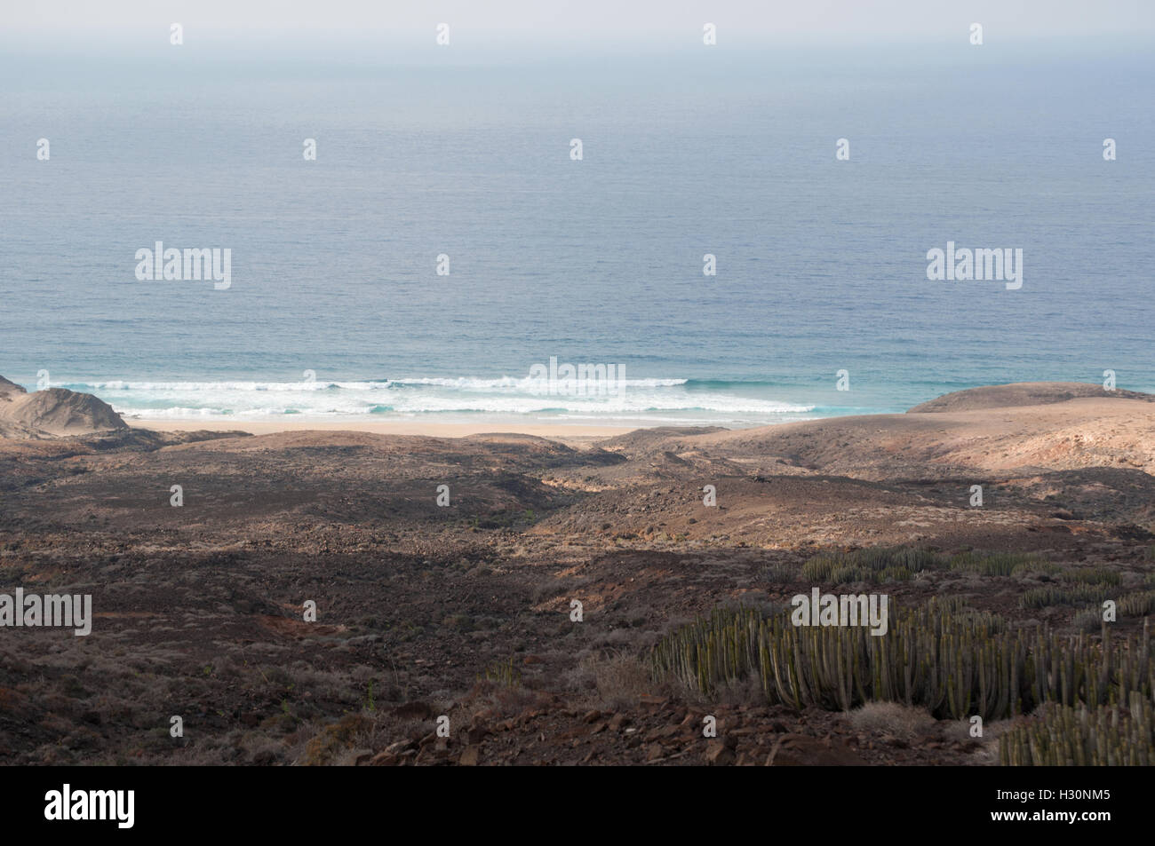 Fuerteventura: dettagli di Cofete spiaggia Foto Stock