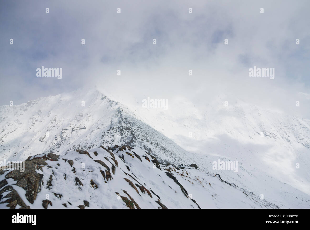 Nube di neve copre la gamma della montagna e alberi Foto Stock