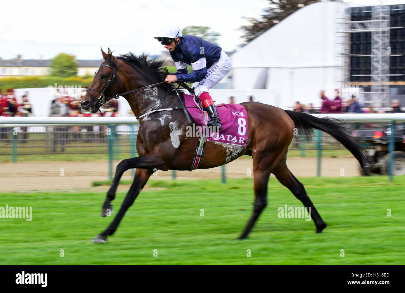 Ippodromo di Chantilly, Francia. 01 ott 2016. Prix de l'Arc de Triomphe, Gara 4 sulla scheda. Ordine di St George - Lanfranco Dettori © Azione Sport Plus/Alamy Live News Foto Stock